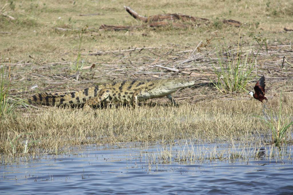 Elephant Lake Hotel Saint Lucia Estuary エクステリア 写真