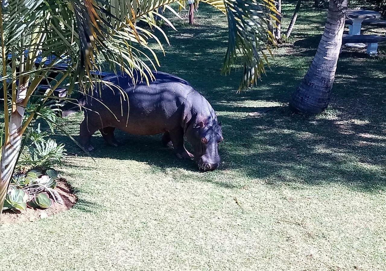 Elephant Lake Hotel Saint Lucia Estuary エクステリア 写真
